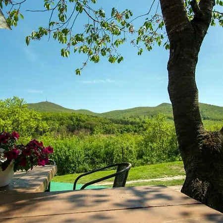 Dombtető Sátoraljaújhely